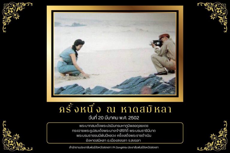 570588805_829706253110239_7939829434522539054_n