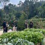 666632863_959416226805907_5548752499500005339_n