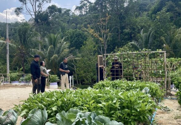 666632863_959416226805907_5548752499500005339_n