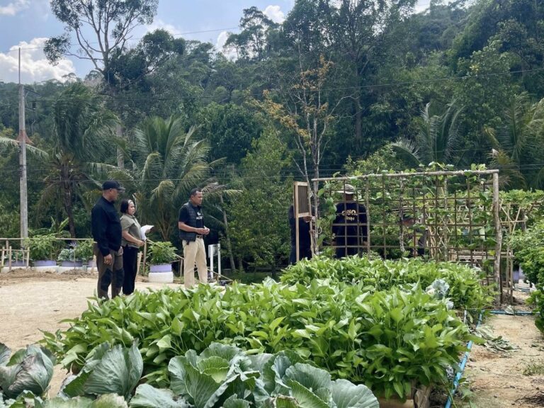 666632863_959416226805907_5548752499500005339_n